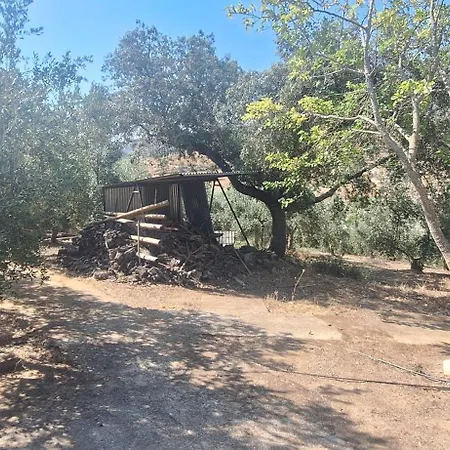 Cerro Del Tendero Fuente del Arco